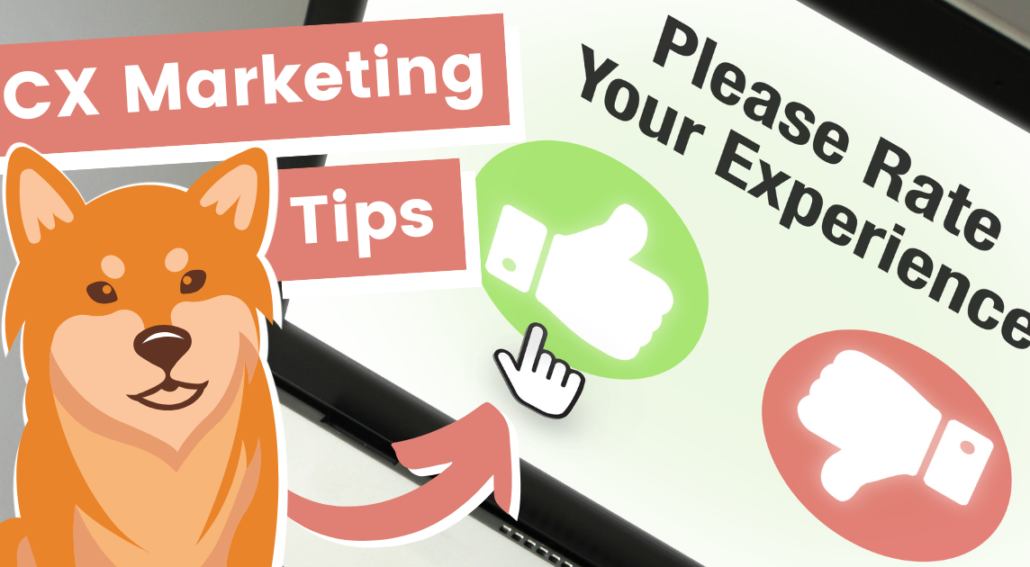 Customer experience marketing tips Review Dingo mascot providing customer experience marketing tips