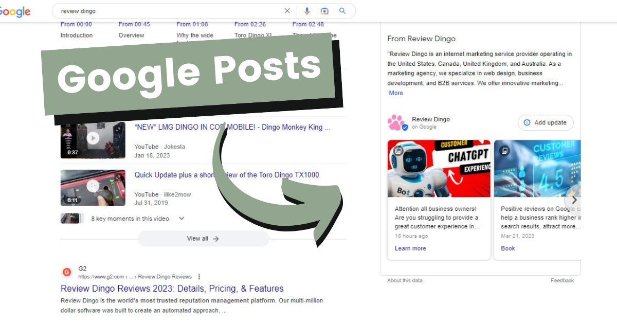 green arrow pointing to where Review Dingo's Google Posts are located in Google's knowledge panel